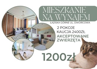mieszkanie na wynajem - Łaziska Górne