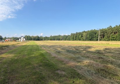 działka na sprzedaż - Sośnicowice (gw), Tworóg Mały