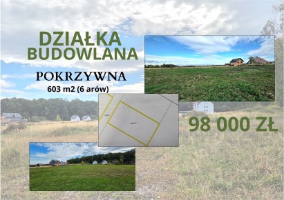 działka na sprzedaż - Głuchołazy, Pokrzywna